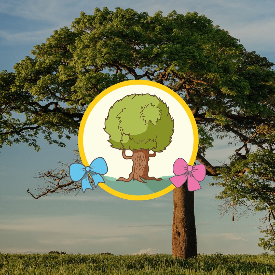 Adotta un albero